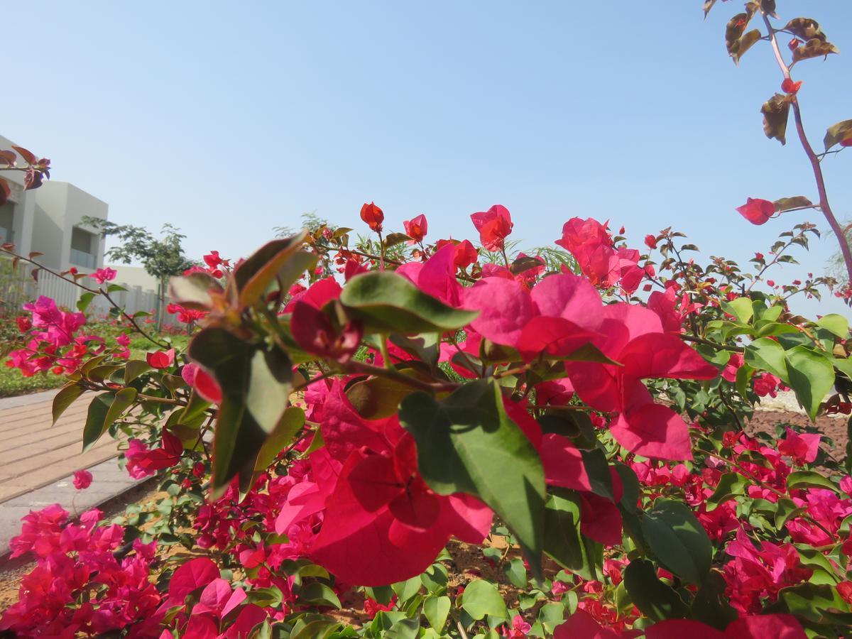 Bermuda Villas Holiday Home Ras al-Khaimah Phòng bức ảnh